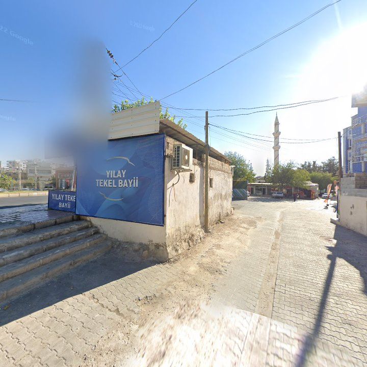 Fotoğraf 10