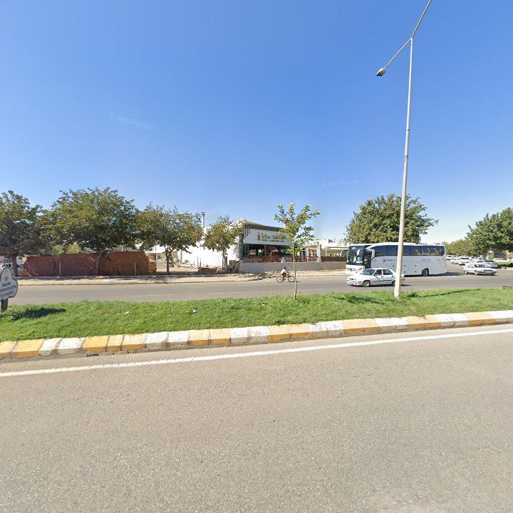 Fotoğraf 12