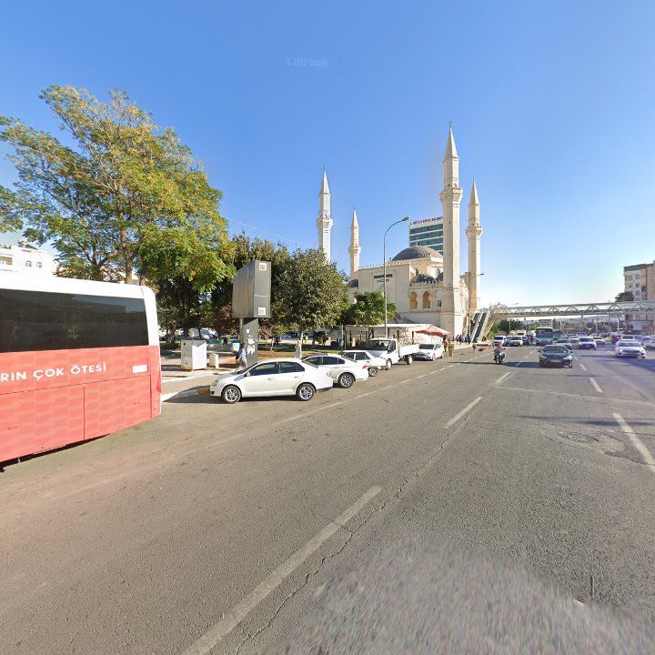 Fotoğraf 12
