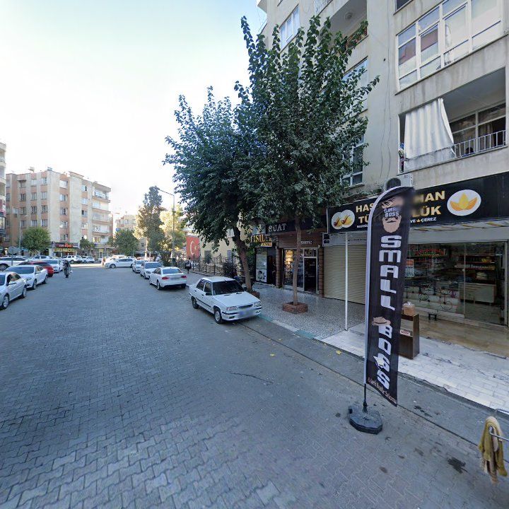 Fotoğraf 7