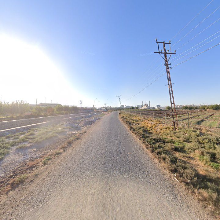 Fotoğraf 10