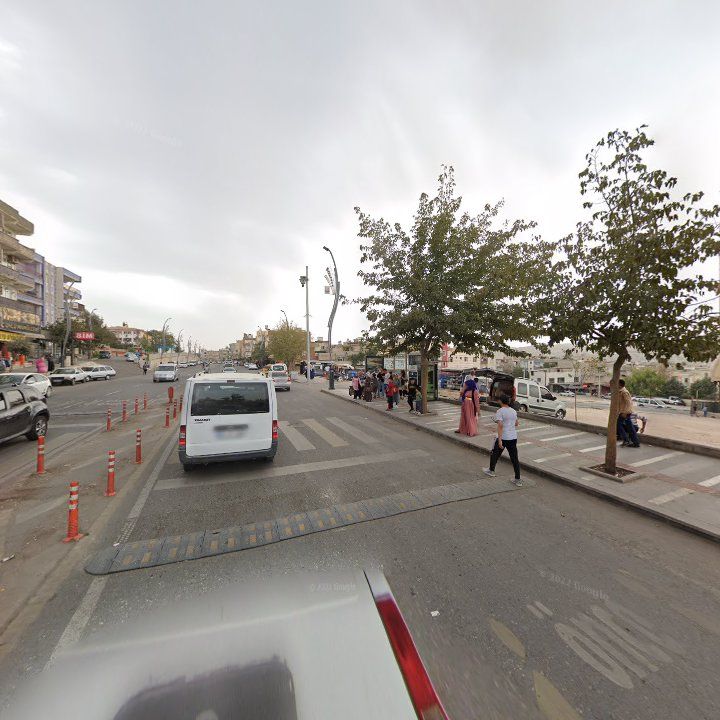 Fotoğraf 7