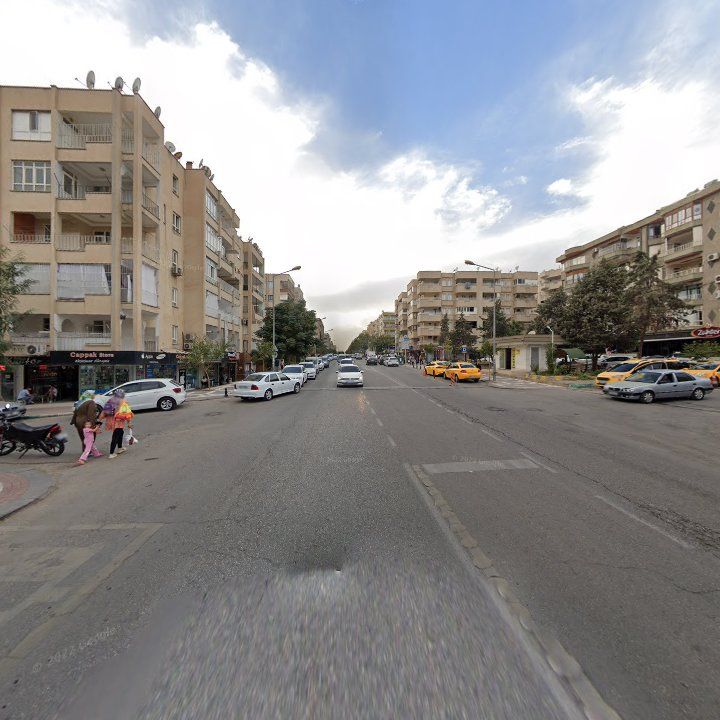 Fotoğraf 9