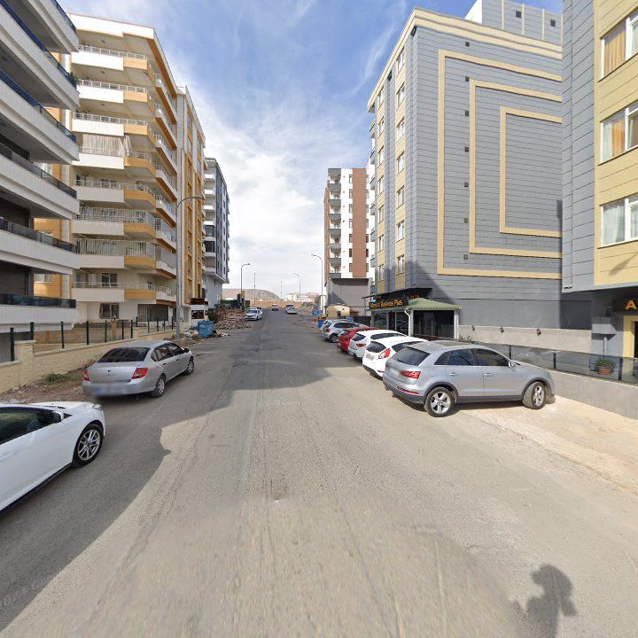 Fotoğraf 12