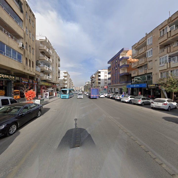 Fotoğraf 7