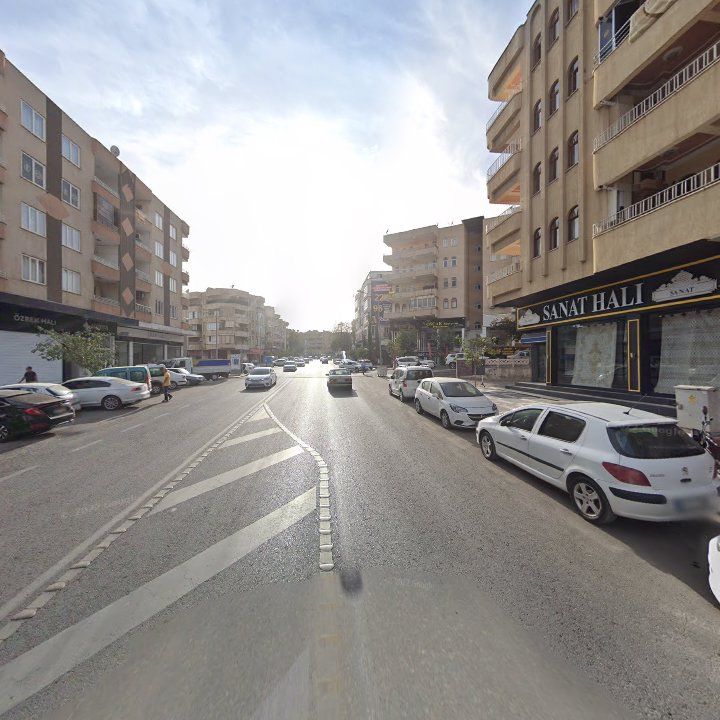 Fotoğraf 9