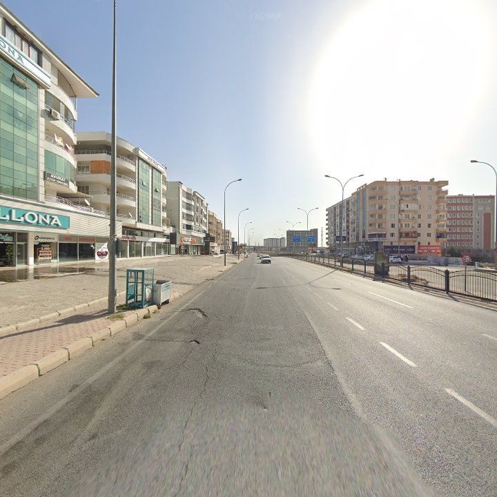 Fotoğraf 15