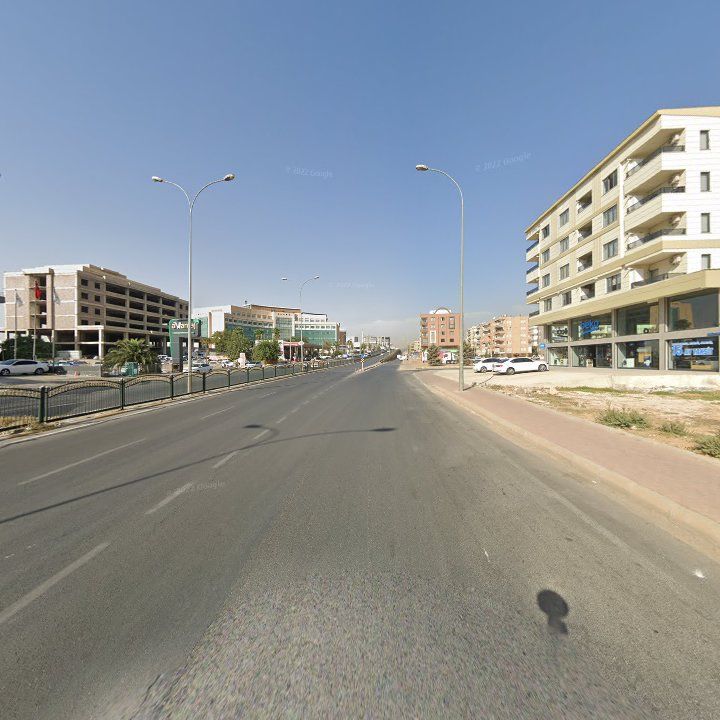 Fotoğraf 13