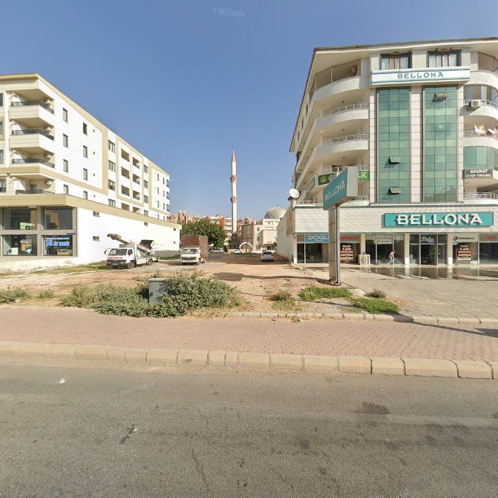 Fotoğraf 14