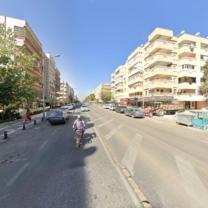 Fotoğraf 7