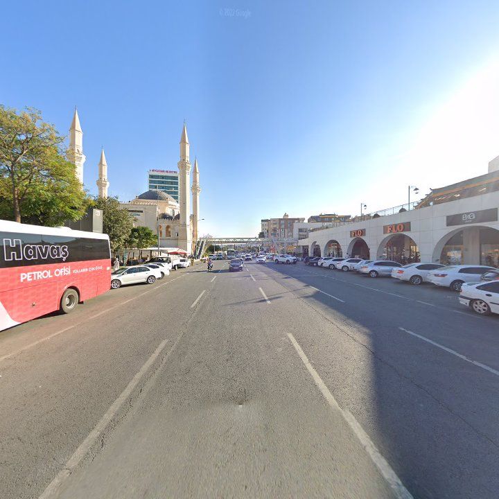 Fotoğraf 15
