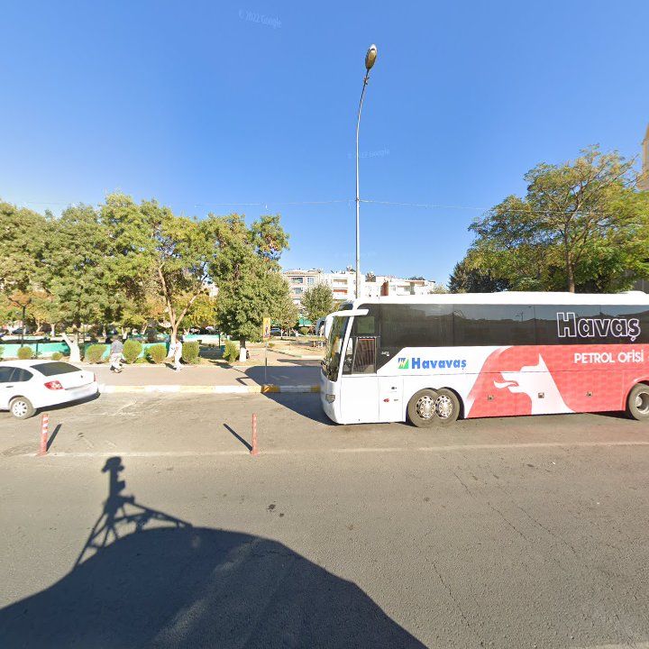 Fotoğraf 14