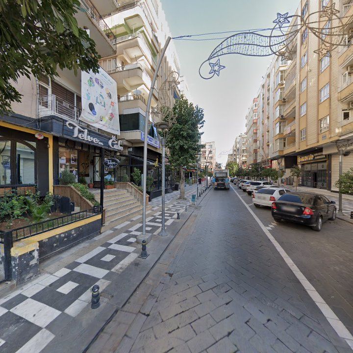Fotoğraf 8