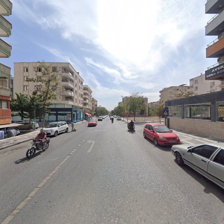 Fotoğraf 8