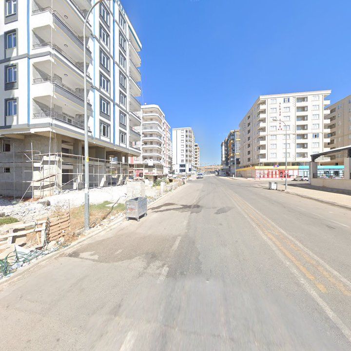 Fotoğraf 11