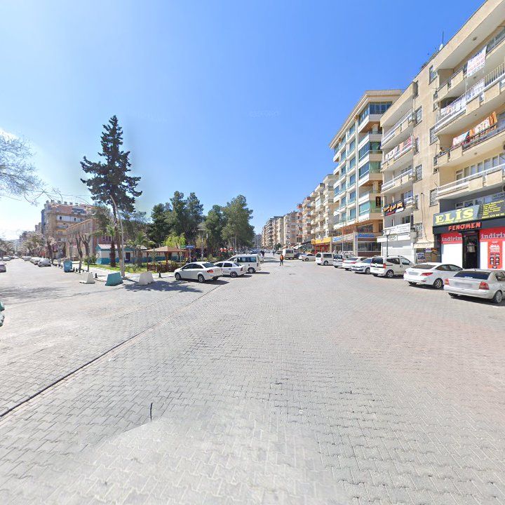 Fotoğraf 8