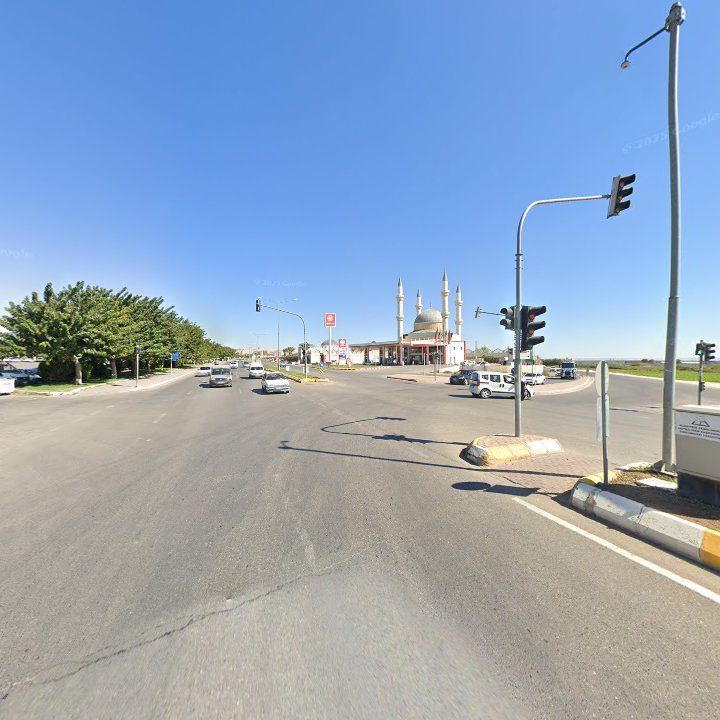 Fotoğraf 12