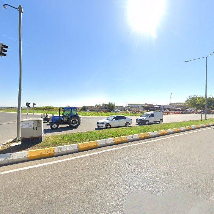 Fotoğraf 13
