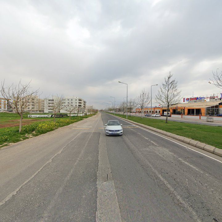 Fotoğraf 7