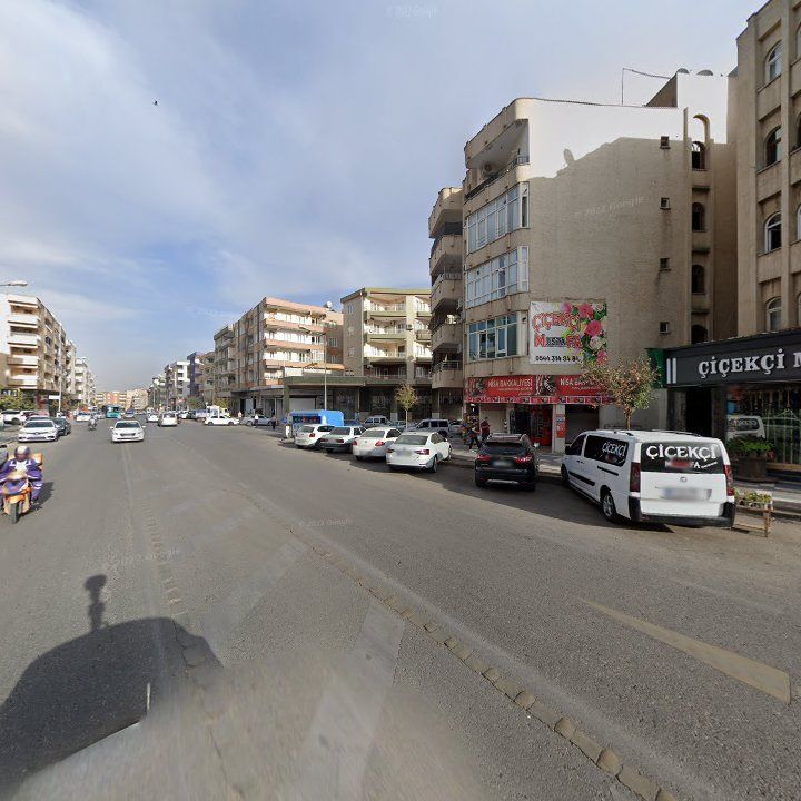 Fotoğraf 12
