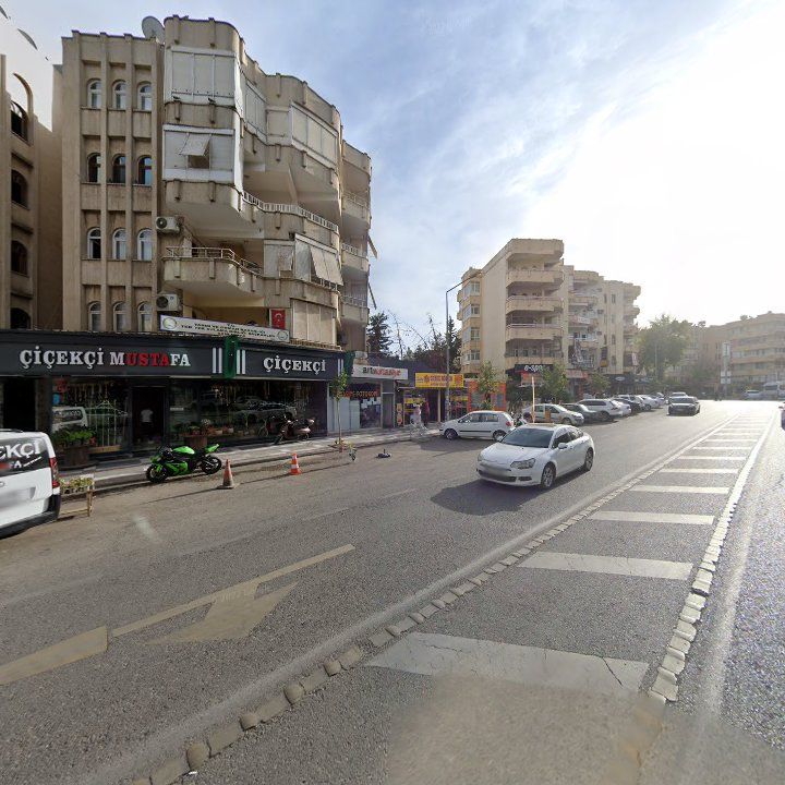 Fotoğraf 13