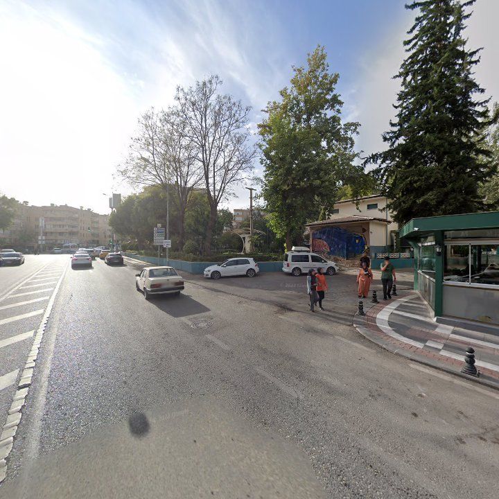 Fotoğraf 14