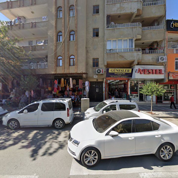 Fotoğraf 12