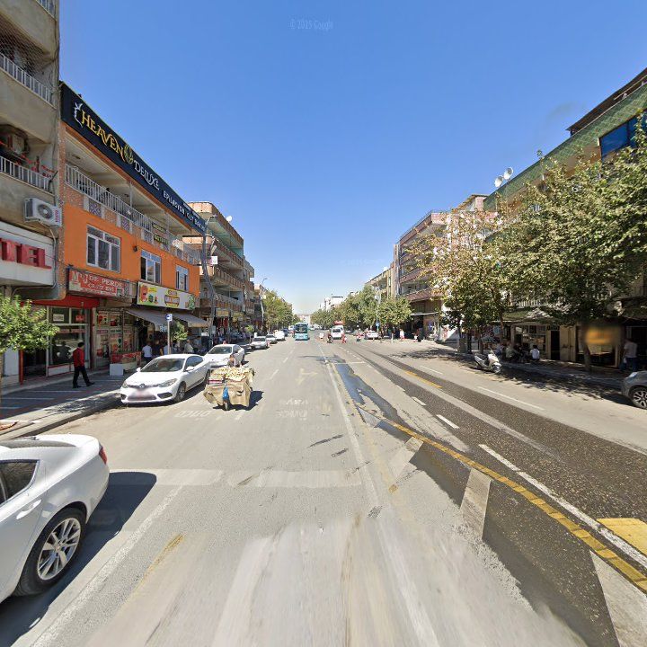 Fotoğraf 13