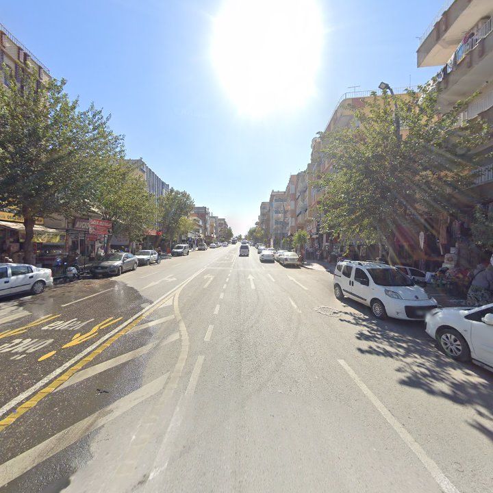 Fotoğraf 11