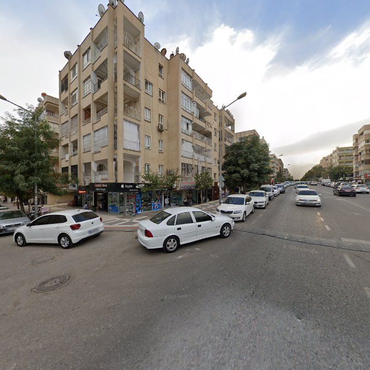 Fotoğraf 9