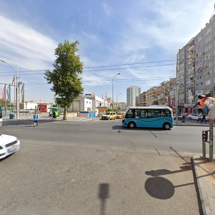 Fotoğraf 7
