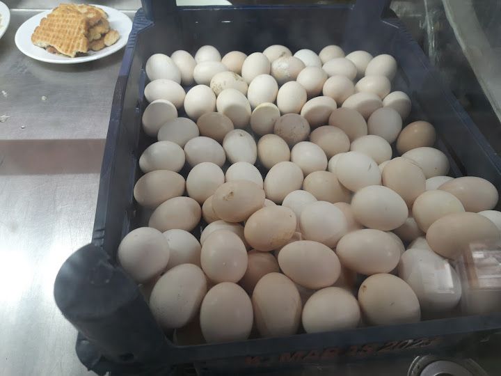 Fotoğraf 33