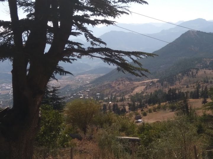 Yorum fotoğrafı 4