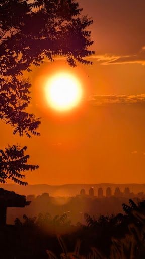 Yorum fotoğrafı 5