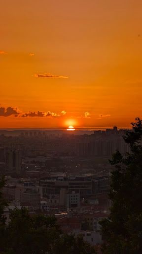Yorum fotoğrafı 8