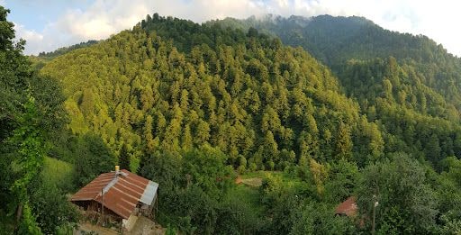 Fotoğraf 21