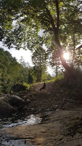 Fotoğraf 22
