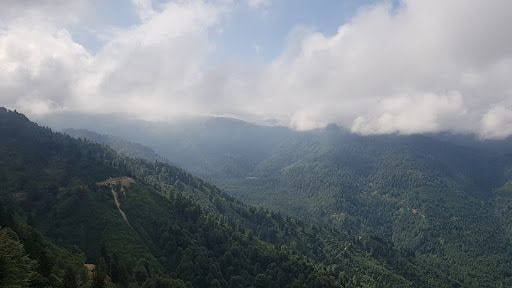 Fotoğraf 23