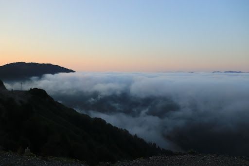Fotoğraf 25