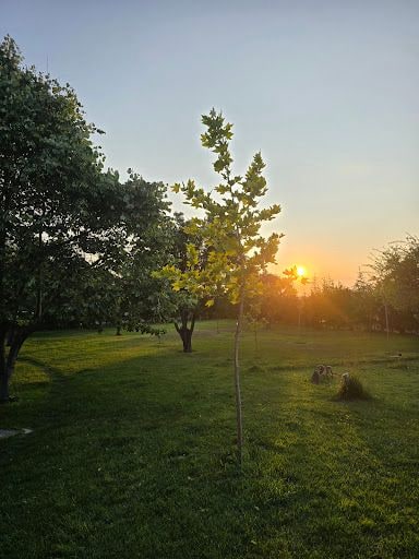 Yorum fotoğrafı 5