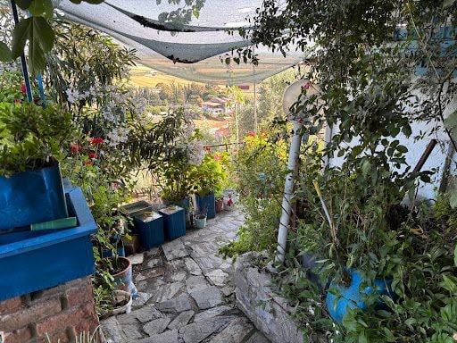 Fotoğraf 24