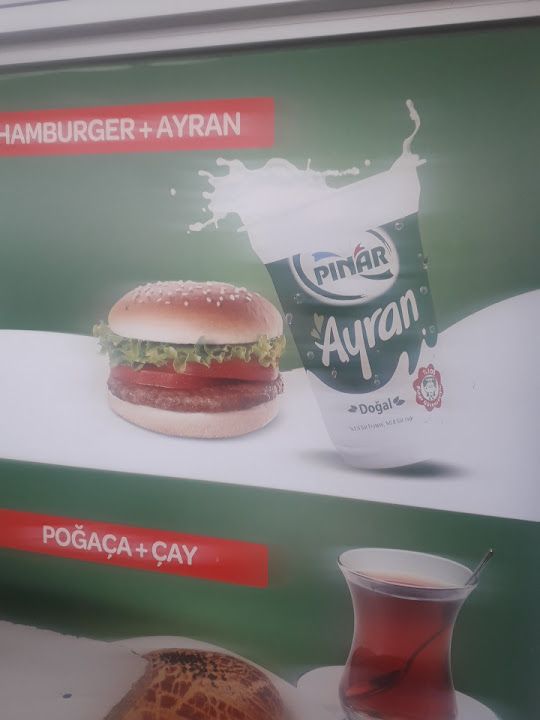 Fotoğraf 11