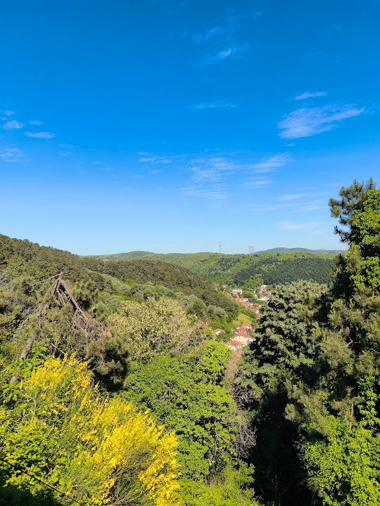 Fotoğraf 18