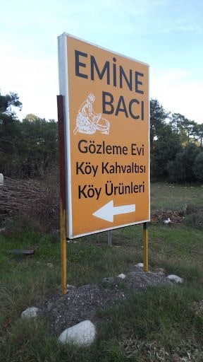Fotoğraf 15