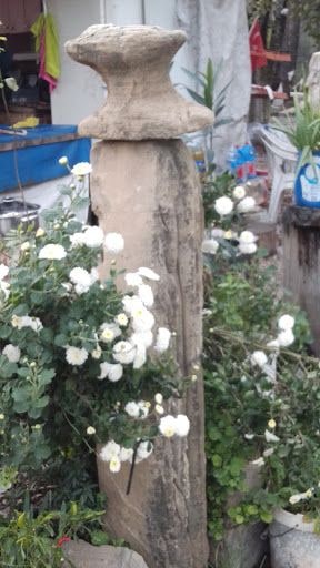 Fotoğraf 17