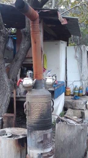 Fotoğraf 20