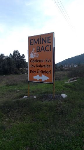 Fotoğraf 21