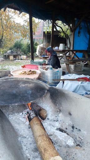 Fotoğraf 23
