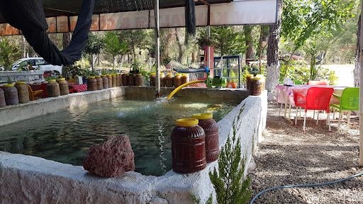 Yorum fotoğrafı 4