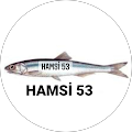 hamsi53